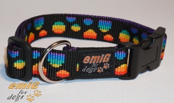 NE collar points rainbow 2,5cm