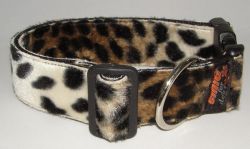 Fellhalsband gepard