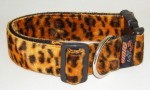 Fellhalsband freaky leo orange