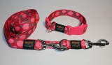 NE Hunde Halsband points pink 2,5cm