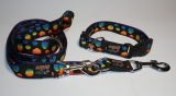 NE Hunde Halsband points rainbow 2,5cm