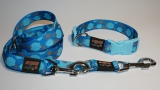 NE collar points blue 2,5cm