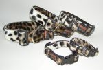Fellhalsband gepard