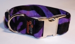 Fellhalsband zebra purple