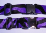 Fellhalsband zebra purple