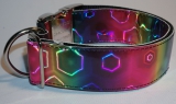 LE Hunde Halsband Hologramm